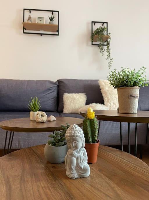 Valona Boho Apartment Vlorë 外观 照片
